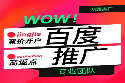 精选百度推广代理成功案例分享